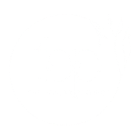 The Beauty Project