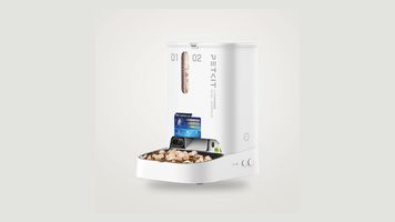 Cibo sempre a disposizione o pasti a orari fissi?