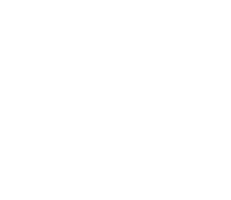 Sellerie Spada Store