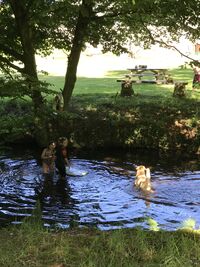 Dartmoor Camping - Reddacleave Farm -