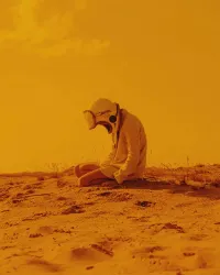 Cinewood professional color grading LUTs for video editing