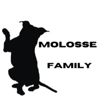 MOLOSSE-FAMILY