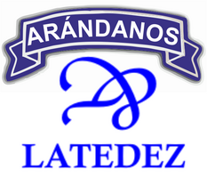 Arandanos Latedez