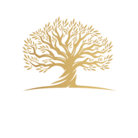 OLIO PINGITORE