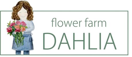 FlowerFarm Dahlia