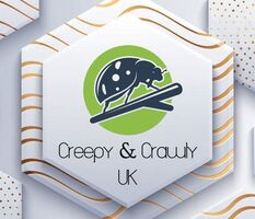 Creepy & Crawly UK