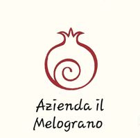 Negozio Online