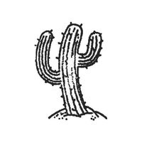 Cactus Prod Bijoux