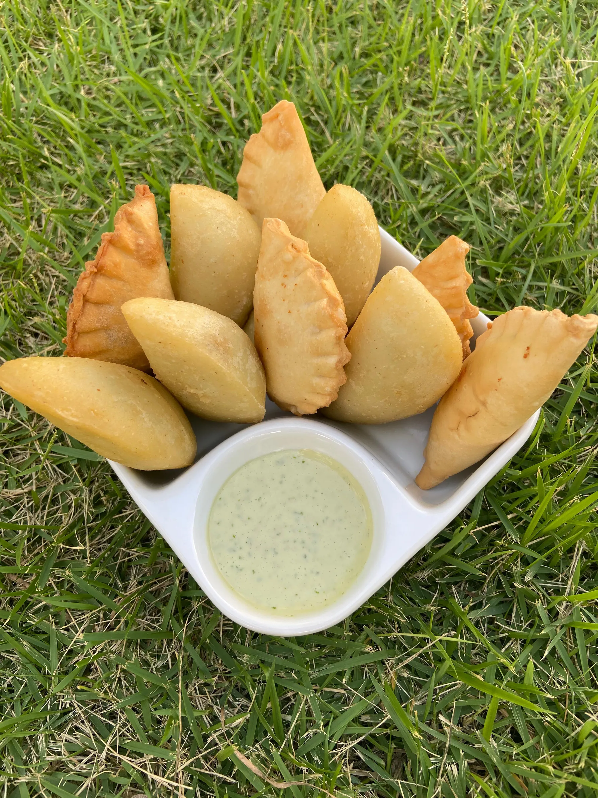 Traditional Latin American empanadas with golden crispy exterior on a rustic plate. No human shapes.