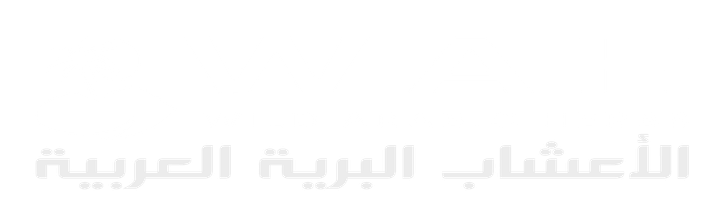 Wild Arabic Herbs