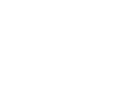 The Carpet Guy Online