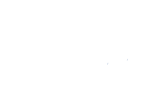 Amberg-Sulzbach Regional Weihnachtsfahrt