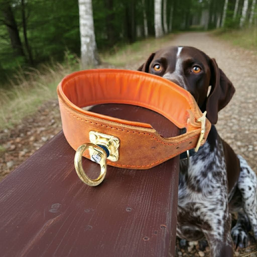Jagdhund Halsbnder Leder