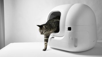 Litière autonettoyante : comment choisir entre PUROBOT MAX 3, ULTRA et CRYSTAL DUO
