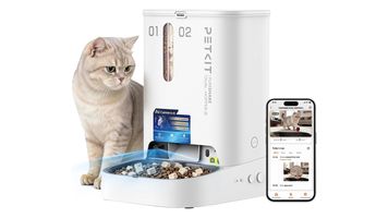 Distributeur automatique de croquettes : ce qu’il faut regarder avant de choisir