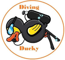 Diving-Ducky