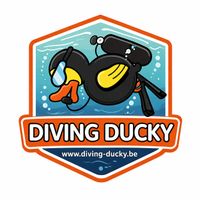 Diving-Ducky