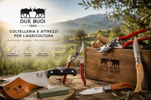 Due Buoi: coltelleria e attrezzi per l'agricoltura