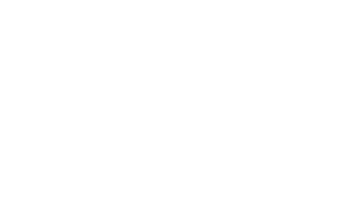 Angélica Elfic