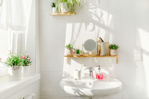 Scrub up with cleaner bathroom essentials!