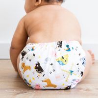 bunte Happy Bear Pocketwindeln