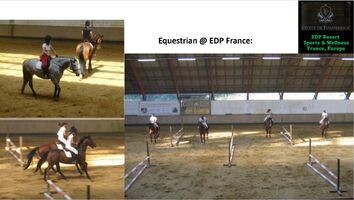 Indoor Horse Training - #6