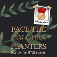 Face the Colours Planters