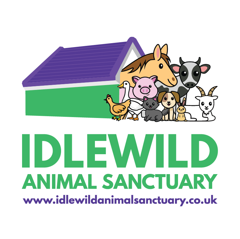 Idlewild Shop