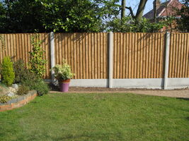 Quality Featherboard Fence Panels