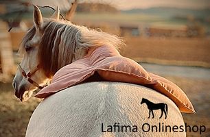 Lafima Onlineshop