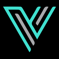 Team Vitesse