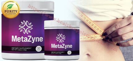 What is MetaZyne?