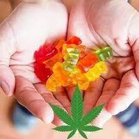 Your Site TitleGreen Leafz CBD Gummies Canada Reviews: Is It A Scam?