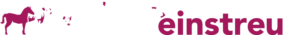 Swisseinstreu.ch