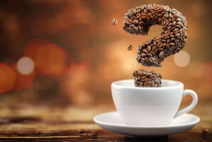Kaffee-Beratung - #3